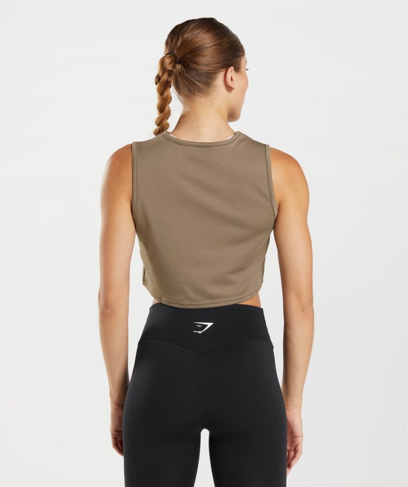 Podkoszulki Gymshark Treningowe Crop Damskie Brązowe | PL 417FGT